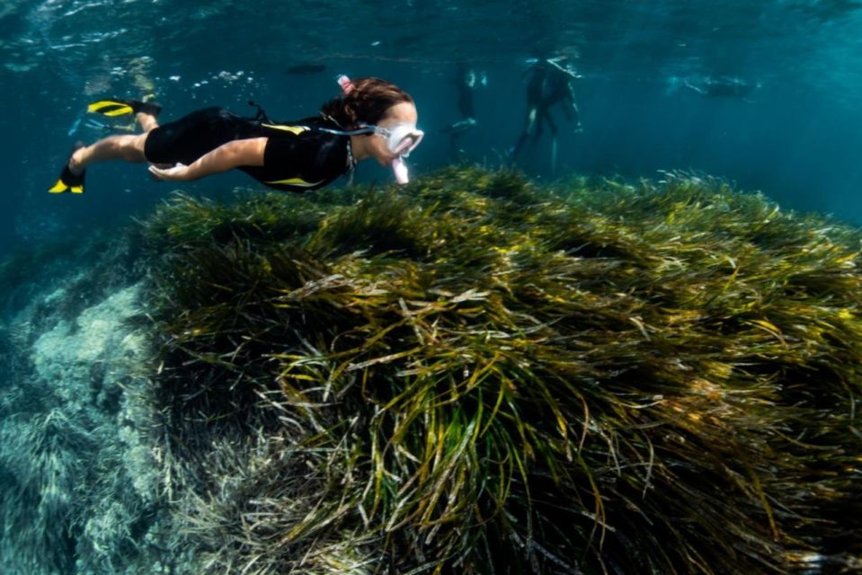 Palma De Mallorca: Cala Vella Snorkeling Adventure - Booking and Availability