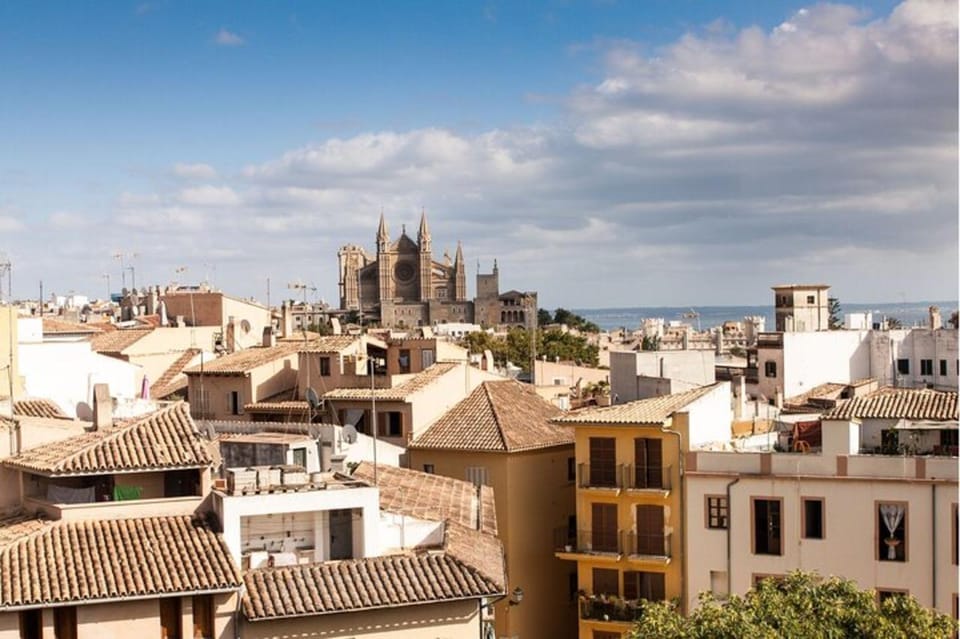 Palma De Mallorca: Private Custom Tour With a Local Guide - Customization Options