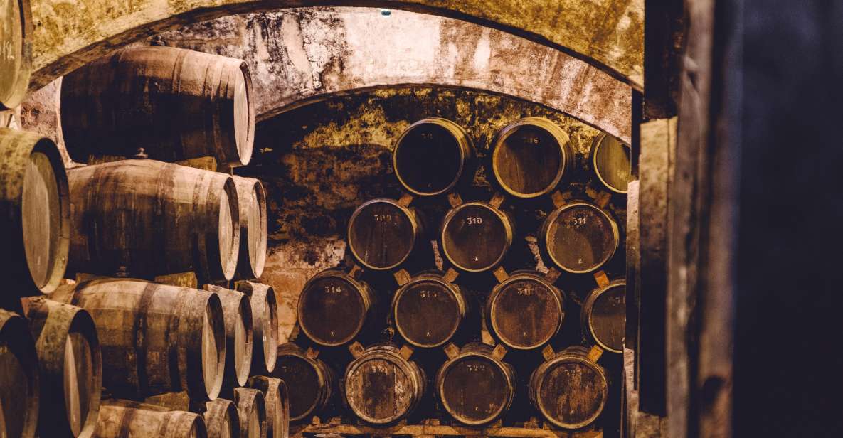 Palma: Distillery Tour With 3 Spirits and Tapas Tasting - Historic Underground Cellar