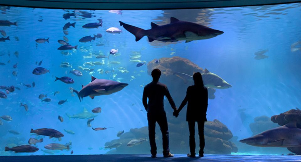 Palma: Palma Aquarium Ticket With Transfer Service - Pickup and Drop-off Locations