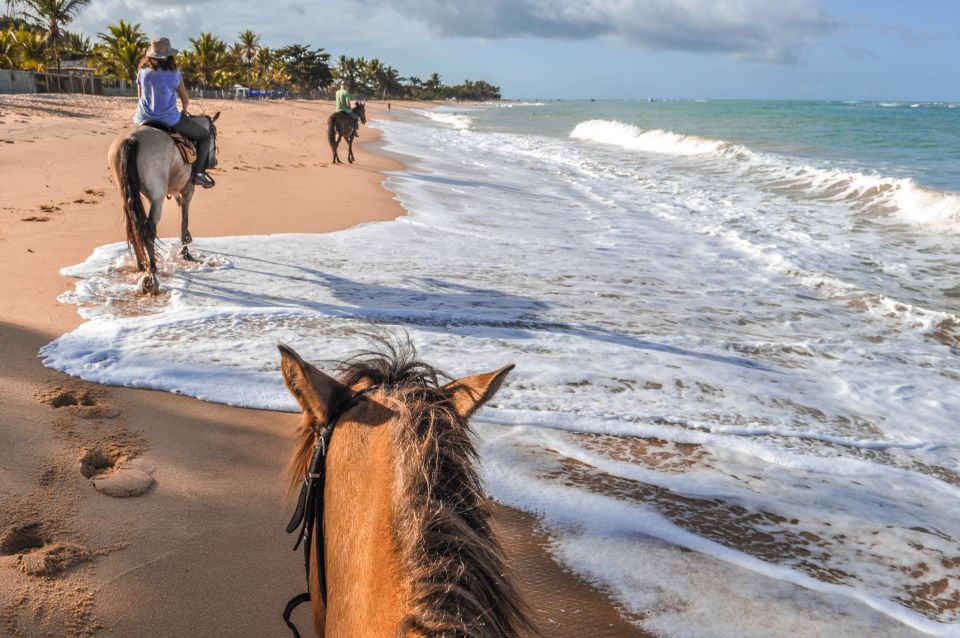 Palomino: Horseback Riding Tour on Palomino Beach - Additional Activity Options