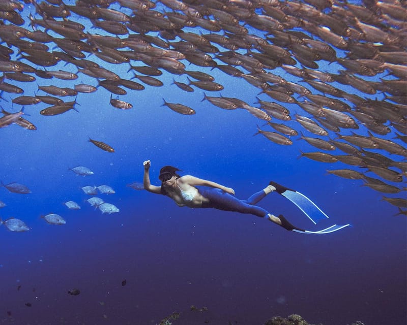 Panglao: Napaling Reef and Sardines Freediving Experience - Customer Feedback