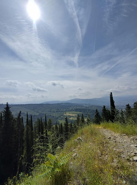 Panoramic Hiking in the Florentine Hills - Pricing and Booking