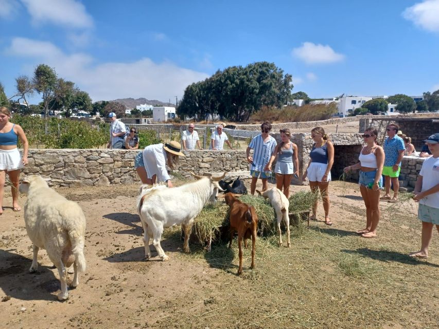 Panoramic Tour of Mykonos - Tour Accessibility