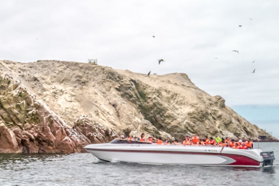 Paracas: Ballestas Islands Morning Boat Tour - Restrictions and Guidelines