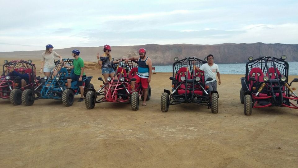 Paracas: Mini Buggy Ride in Paracas National Reserve - Included Services and Amenities