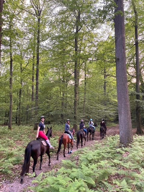 Paris: Aumont-en-Halatte Horseback Riding Tour - Booking and Cancellation