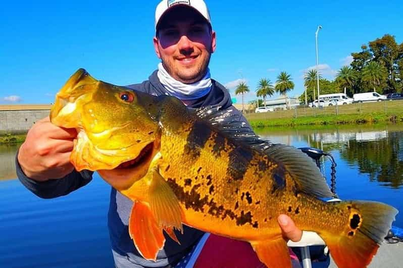 Peacock Bass Fishing Trips Near Miami Florida - Local Wildlife Encounter