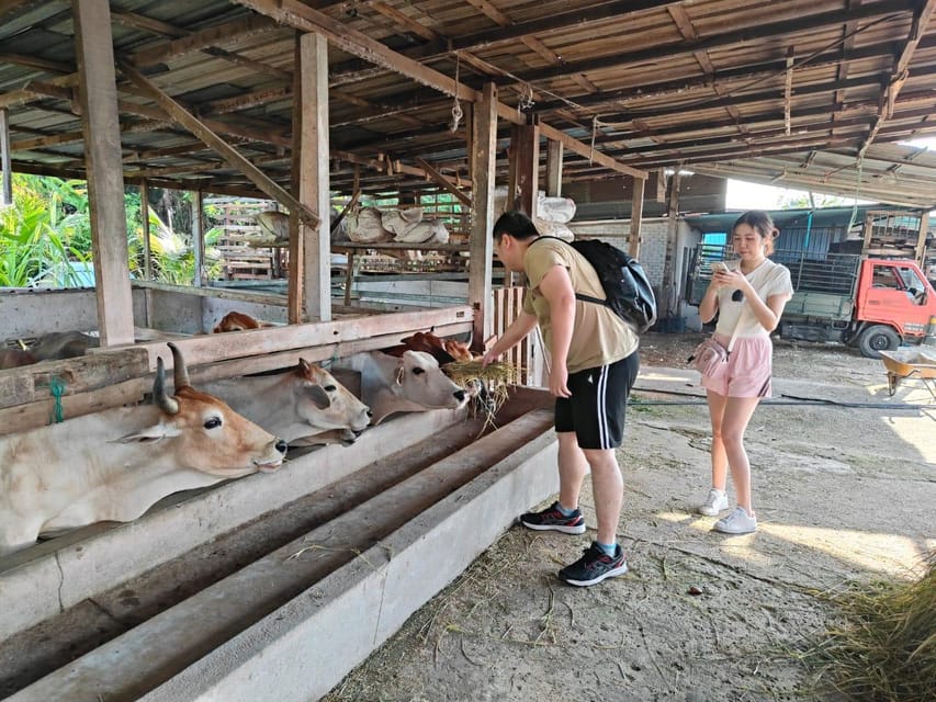 Penang: Balik Pulau Countryside Morning Cycling Tour - Important Information