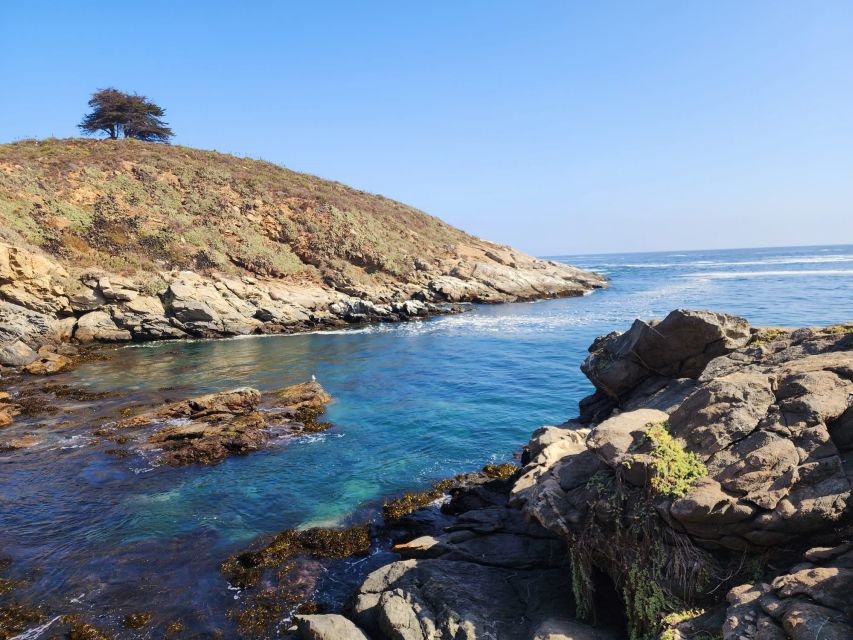 Penguins Watching Cachagua Island - Zapallar From Valparaiso - Important Information