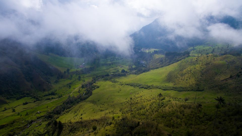 Pereira/Armenia: Private Cocora Valley & Salento Hiking Tour - Customer Reviews and Ratings