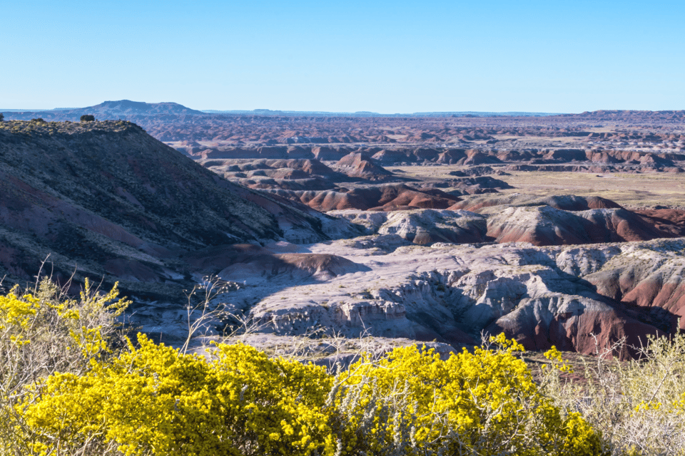 Petrified Forest National Park: Scenic Driving Tour - Technical Information and Support