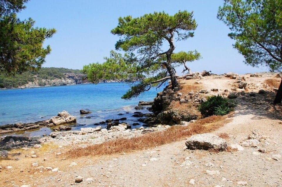 Phaselis - Olympos and Cirali Tour - Group Size and Experience