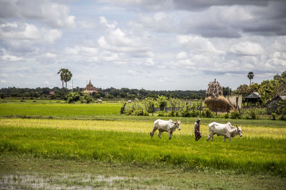 Phnom Penh: Phnom Oudong & Koh Chen Village - Lunch Include - Customer Experiences