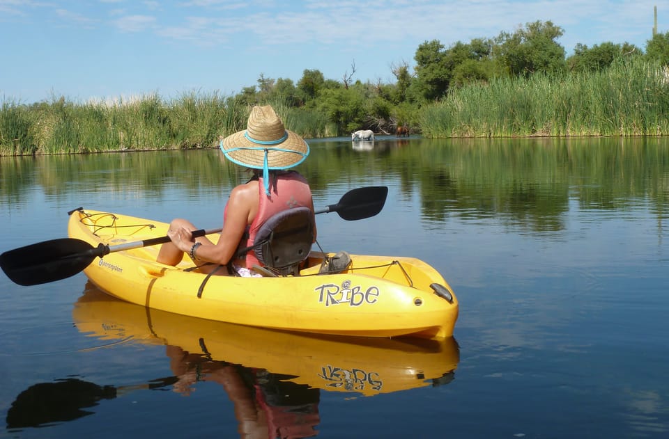 Phoenix: Self-Guided Kayaking Trip to Foxtail - Customer Feedback