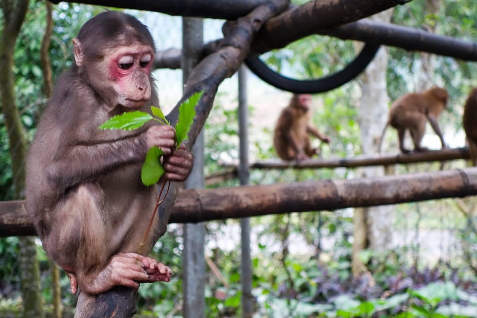 Phong Nha: Experience Jungle Adventures and Wildlife Tours - Prohibited Items During the Tour