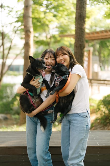 Photography: Personalized Seoul Snapshots - Exploring Seouls Hidden Gems