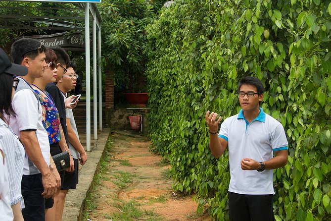 Phu Quoc Discover South and North Together_Private Tour - Itinerary Breakdown
