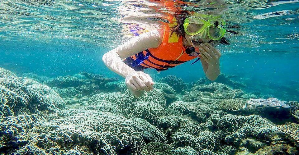 Phu Quoc Pro-Guided Coral Reef Diving Experience - Participant Guidelines