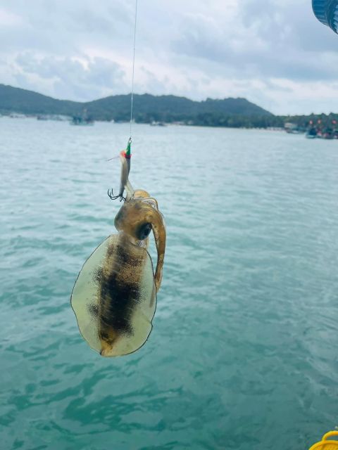 Phu Quoc: Squid Fishing Tour With Sunset Views & Dinner - Important Information