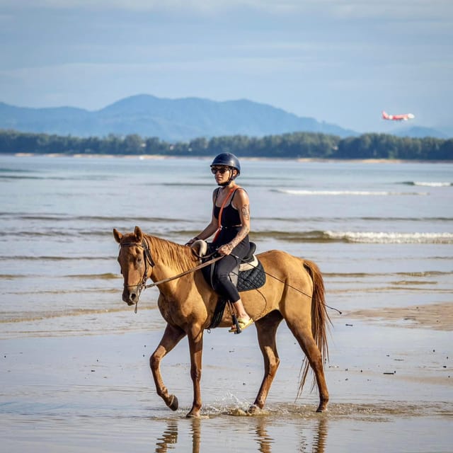 Phuket Beach Horseback Adventure - Customer Feedback