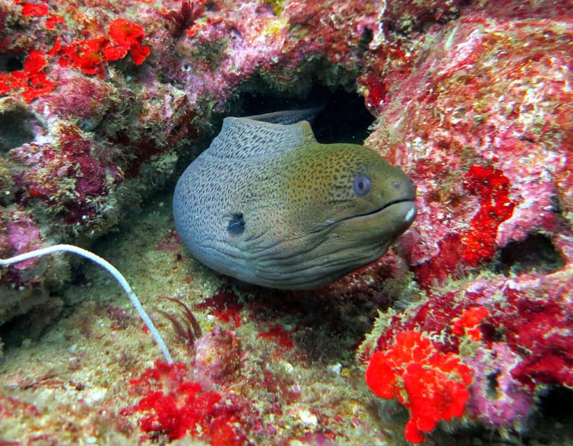 Phuket, Thailand : PADI Open Water Scuba Diver Course Phuket - Age Restrictions