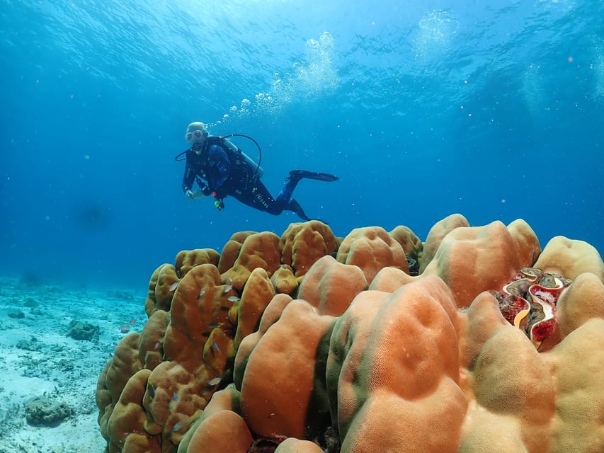 Phuket: Try SCUBA DIVING Full Day Experience 3 Dives - Pickup and Drop-off Locations