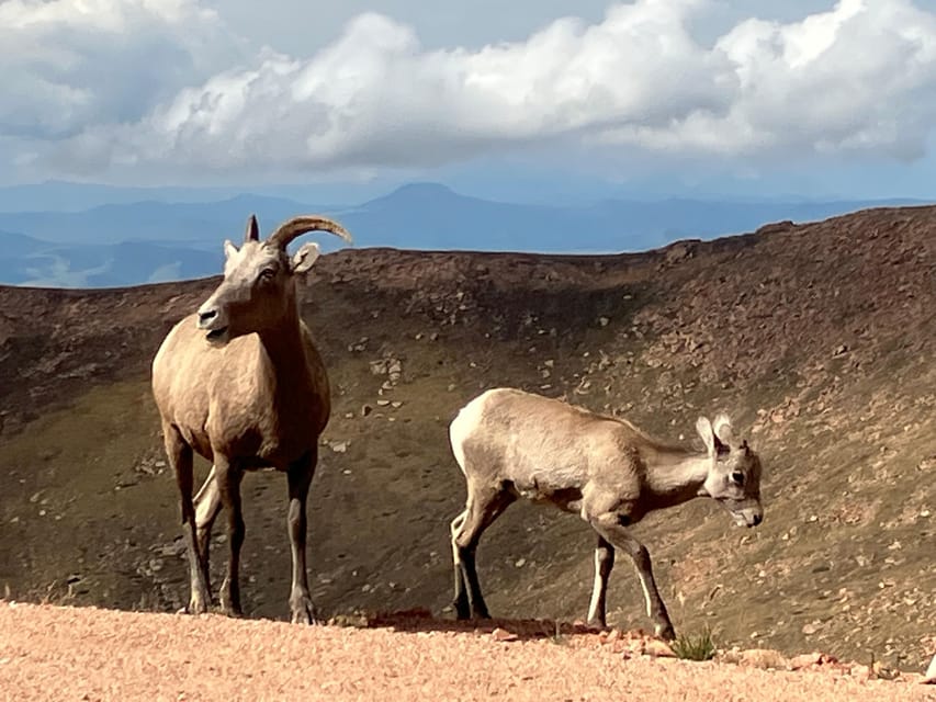 Pikes Peak Tour - Important Information