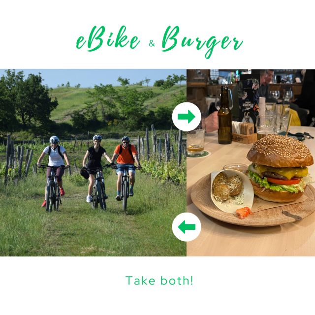 Piran: E-Bike&Burger in Istria - Scenic E-Biking Adventure