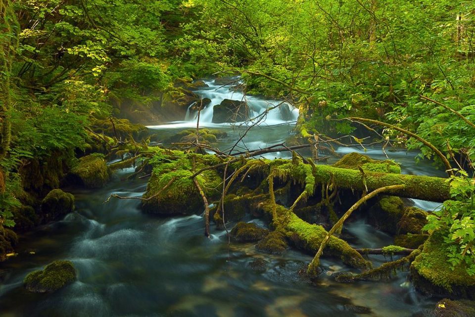 Plitvice Lakes Private Guided Tour - Departure Time