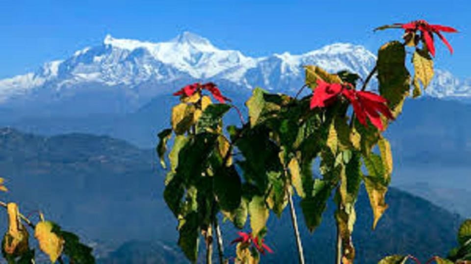 Pokhara: 3-Day Adventure and Scenic Exploration Tour - Included Amenities and Services