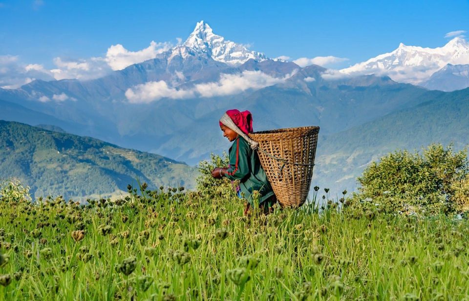 Pokhara: 3 Day Ghorepani Poon Hill Trek With Room and Meals - Frequently Asked Questions