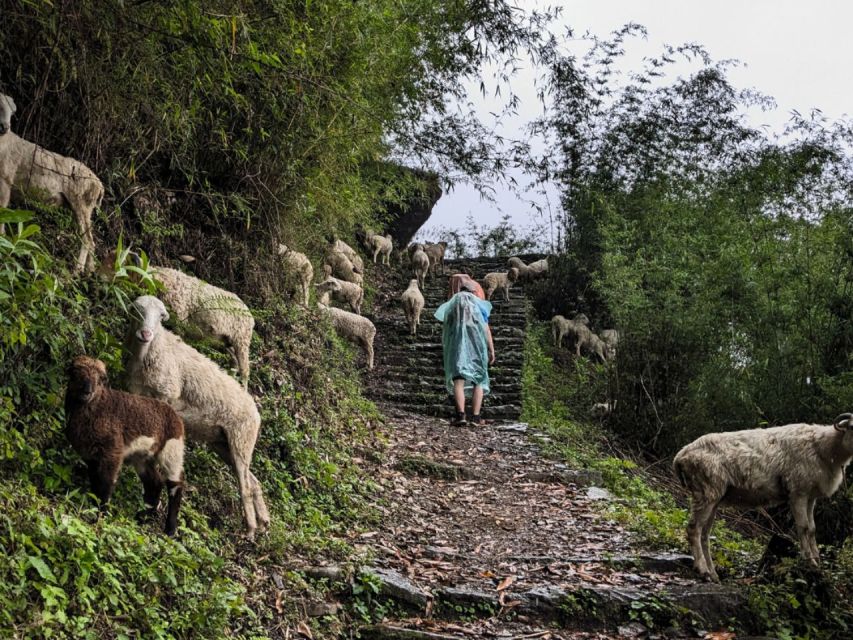 Pokhara: 4 Day Poon Hill and Ghandruk Guided Trek - Frequently Asked Questions