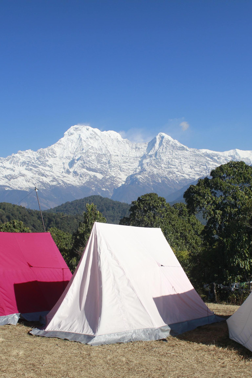 Pokhara: One Night Camping, Campfire Stay at Australian Camp - Preparing for Your Trip