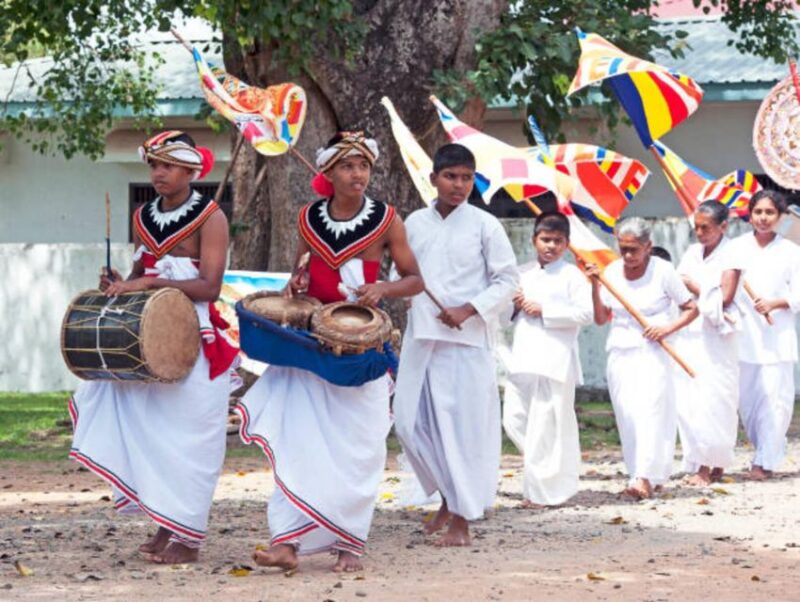 Polonnaruwa Ancient City Tour With Minneriya Elephant Safari - Customer Feedback and Recommendations