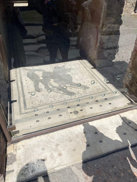 Pompeii From Napoli: Transfer + Entry Ticket + Guided Tour - Participant Information