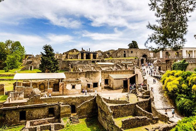 Pompeii Ruins Skip the Line Entrance Tickets With Guided Tour - Reviews Summary