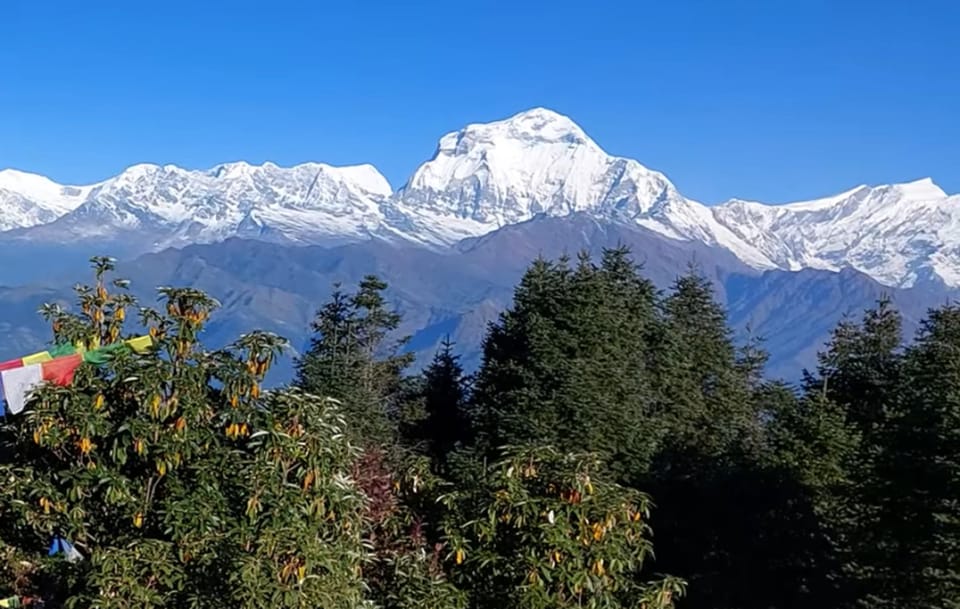 Poon Hill Trekking- 5 Days - Accessibility Information