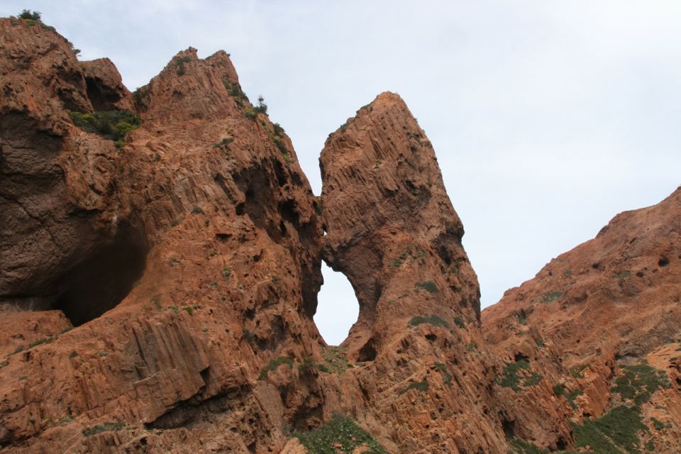 Porto: Scandola Nature Reserve, Gulf of Girolata Boat Tour - Volcanic Landscapes and Fauna