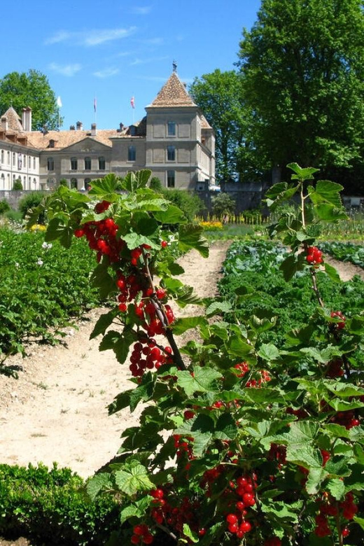 Prangins, Lake Geneva: Château De Prangins Entry Ticket - Visitor Experience