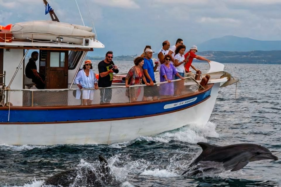 Preveza: Dolphin Watching Cruise With Lunch and Drinks - Booking and Reservations