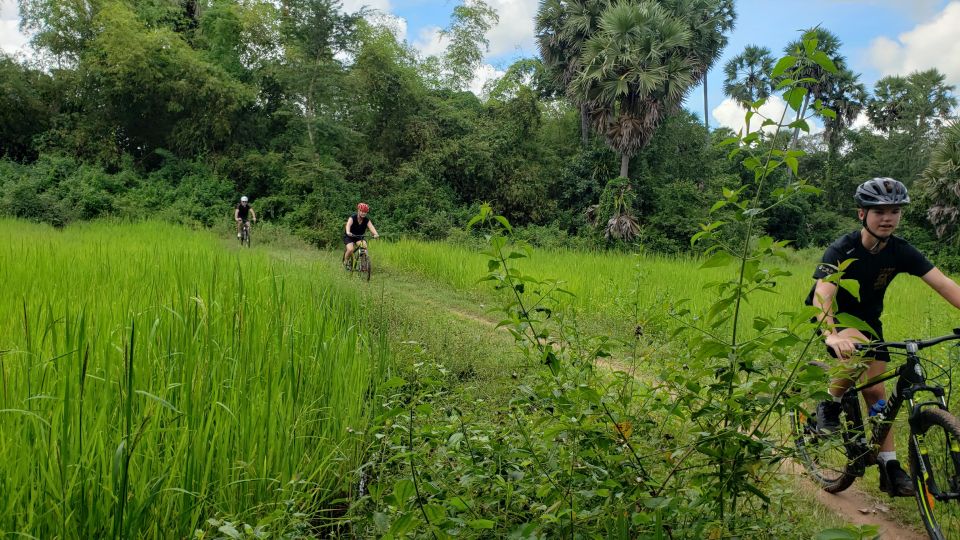 Private Angkor Wat Bike Tour - What to Expect on Tour