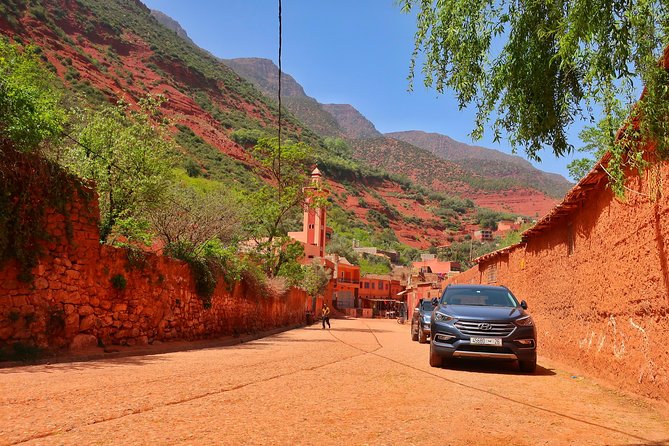 Private Atlas Mountains Day Trip - Cultural Insights and Local Interaction
