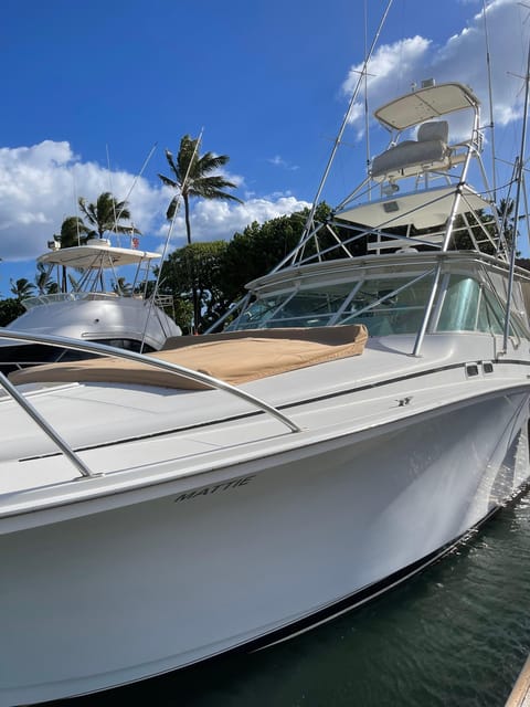 Private Charter Waikiki Deep Sea Fishing Tour - Meeting Point Information