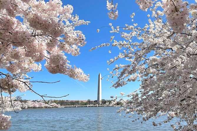 Private & Customizable Tour of Washington DC - Traveler Experiences and Feedback