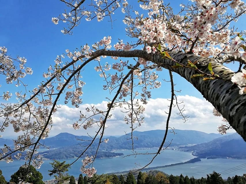 Private Customized Tour in Amanohashidate and Ine-Cho Area - Customer Service Features