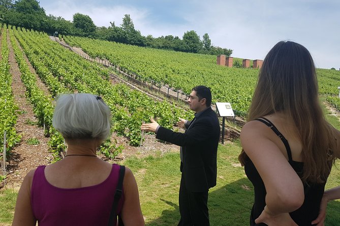 Private Day Tour in Champagne - Gourmet Lunch With Champagne