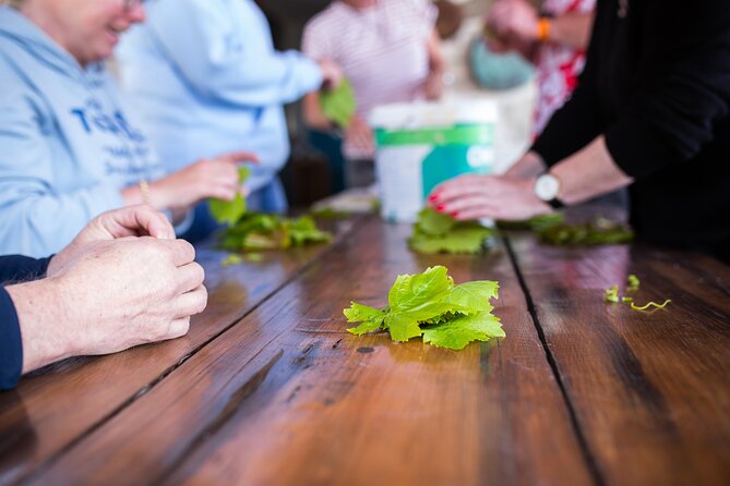 Private Greek Cooking Class in Kos With Lunch - Reviews and Feedback