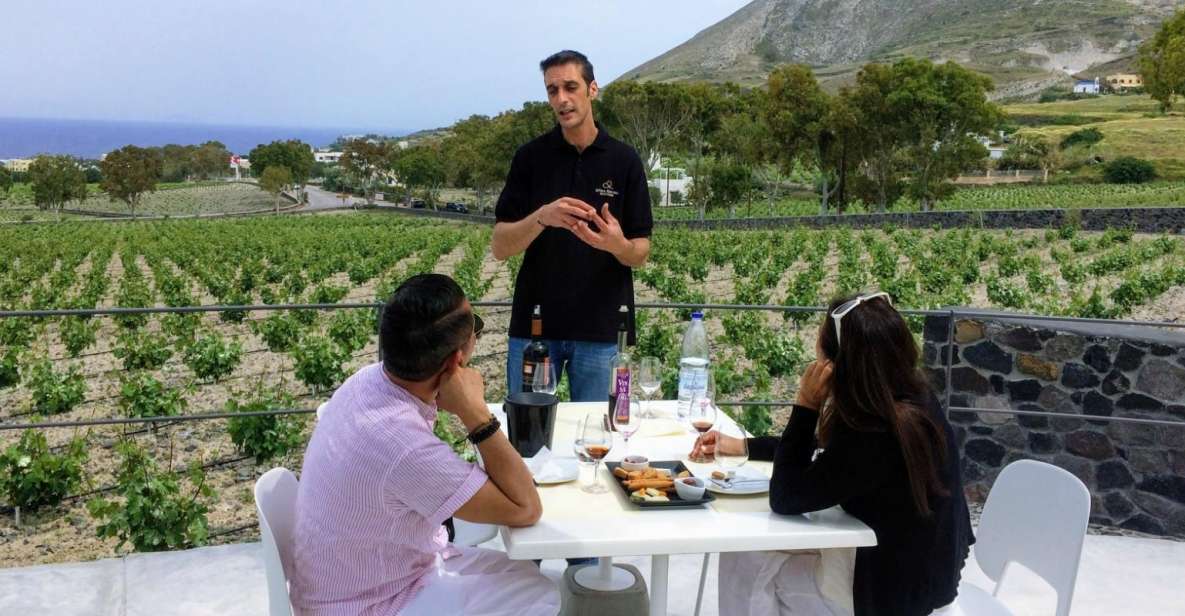 Private Group Visit to Akrotiri & 3 Wineries With Tastings - Inclusions and Exclusions