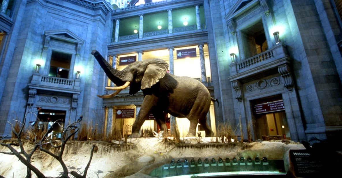 Private Guided Tour of The Natural History Museum - Experience Details